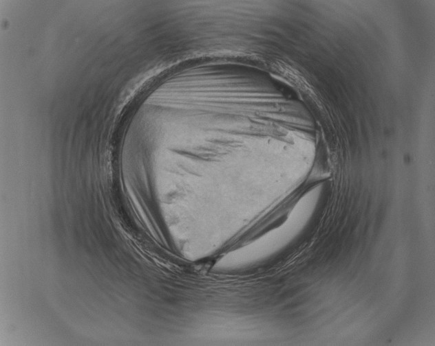 X0000066090676200604071757