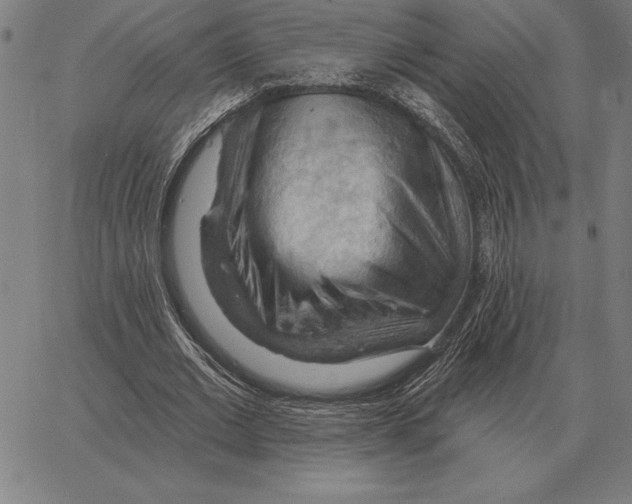 X0000066090677200604071757