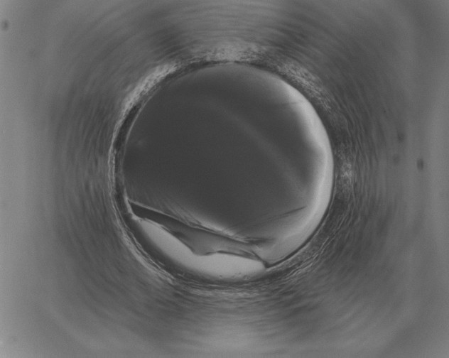 X0000066090678200604071757