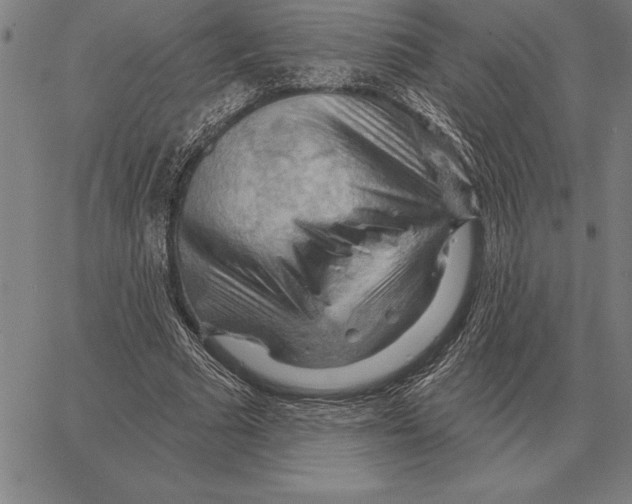 X0000066090681200604071757