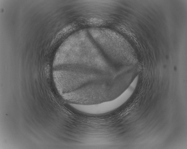 X0000066090689200604071757