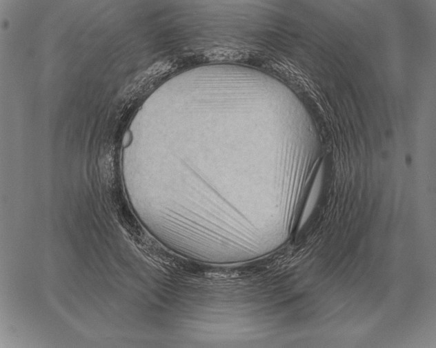 X0000066090690200604071757