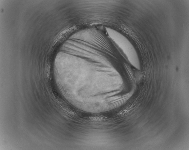 X0000066090693200604071757