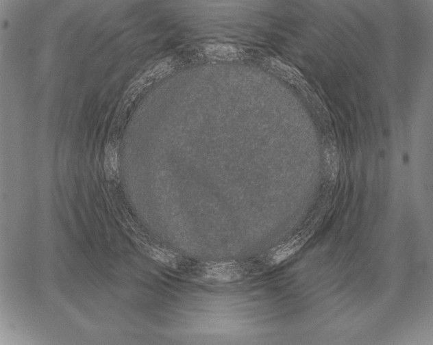 X0000066090705200604071757