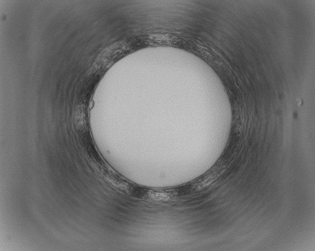 X0000066090706200604071757