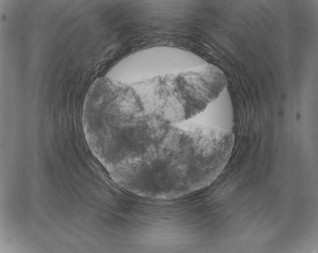 X0000066090711200604071757