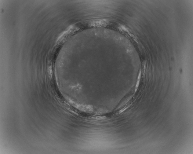 X0000066090716200604071757
