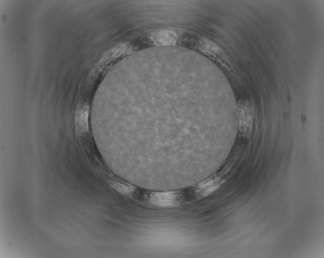 X0000066090717200604071757