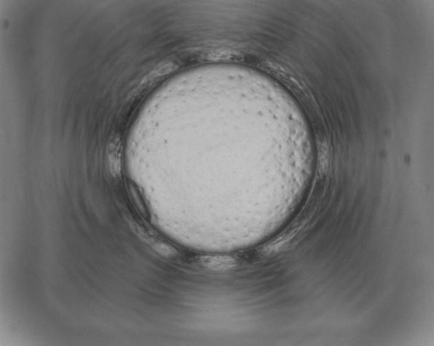 X0000066090719200604071757