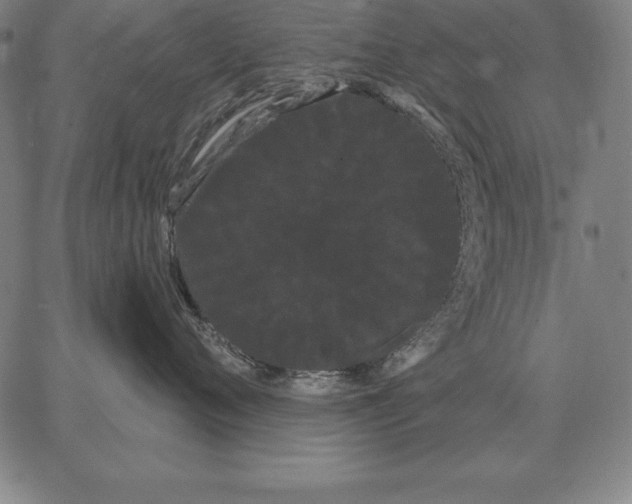 X0000066090720200604071757