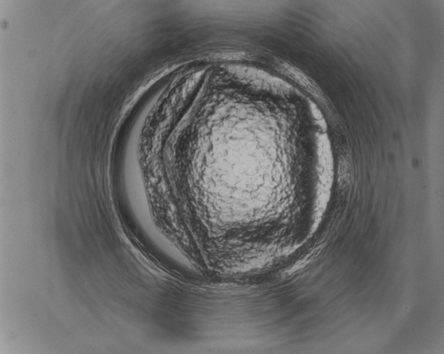 X0000066090722200604071756