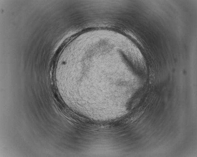 X0000066090723200604071756