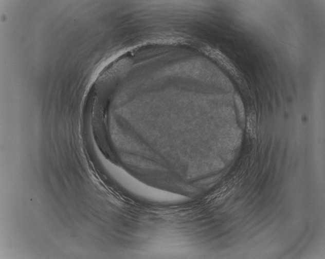 X0000066090724200604071756
