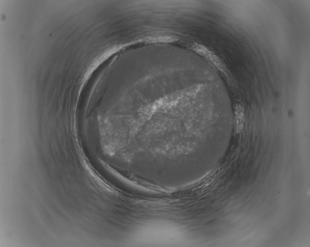 X0000066090726200604071756