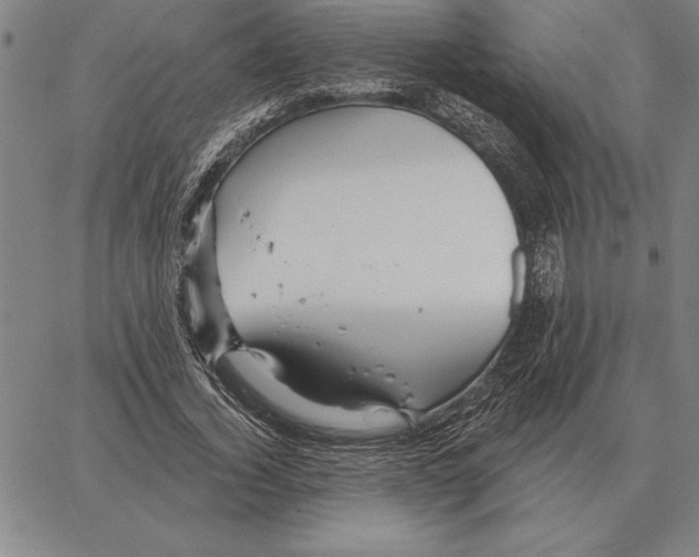 X0000066090732200604071756