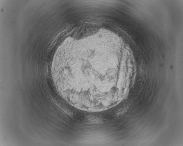 X0000066090733200604071756
