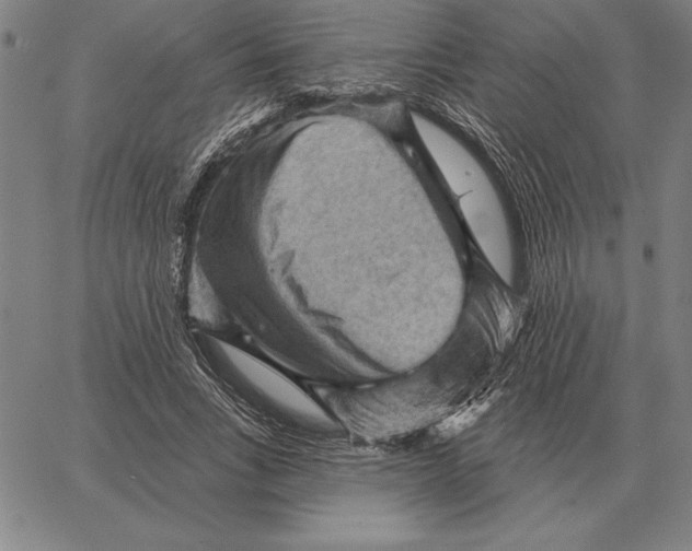 X0000066090735200604071756