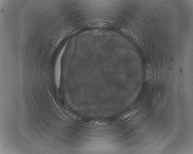 X0000066090739200604071756