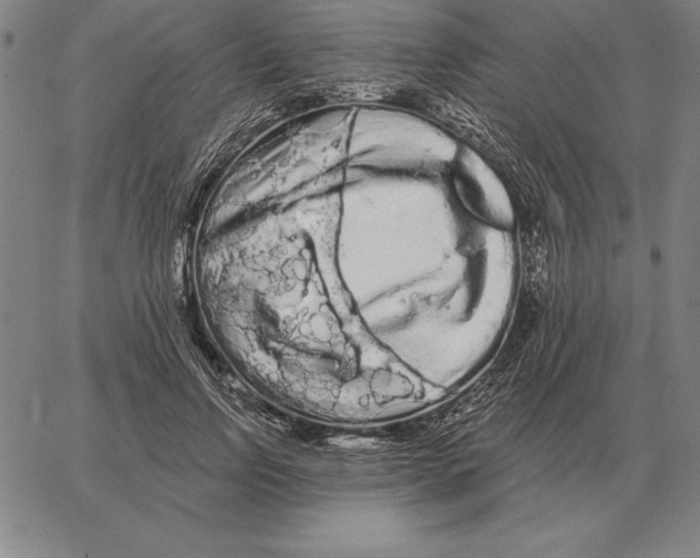 X0000066090742200604071756