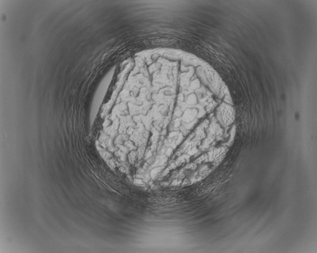 X0000066090745200604071756