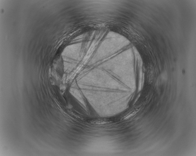 X0000066090747200604071756