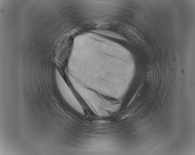 X0000066090748200604071756