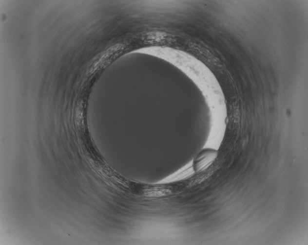 X0000066090754200604071756