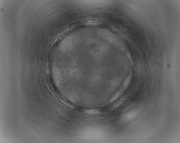 X0000066090755200604071756
