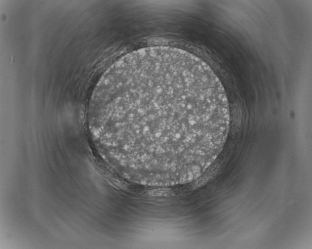 X0000066090761200604071756