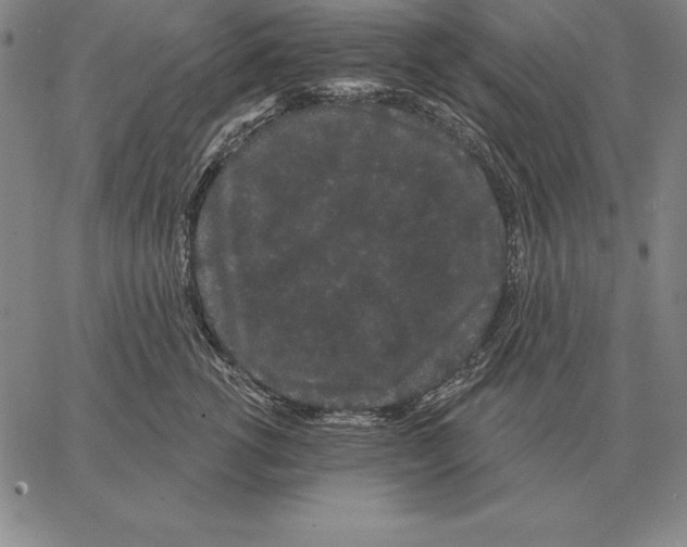 X0000066090762200604071756