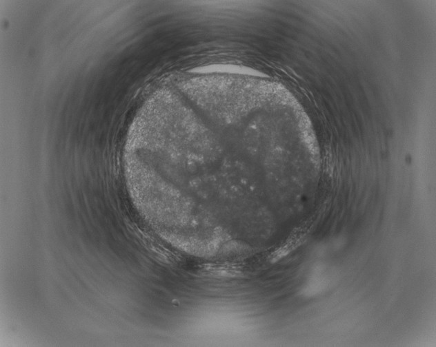 X0000066090763200604071756