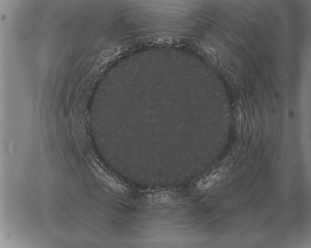 X0000066090769200604071756