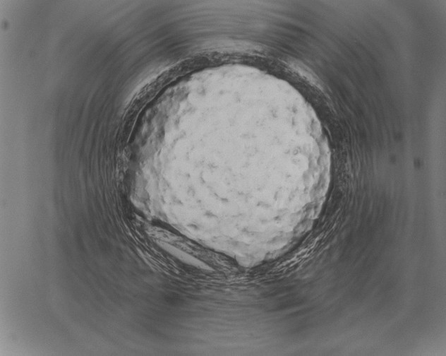 X0000066090775200604071756