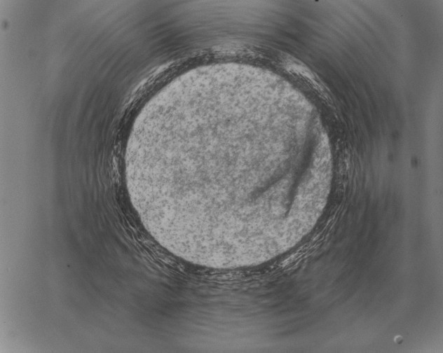 X0000066090776200604071756