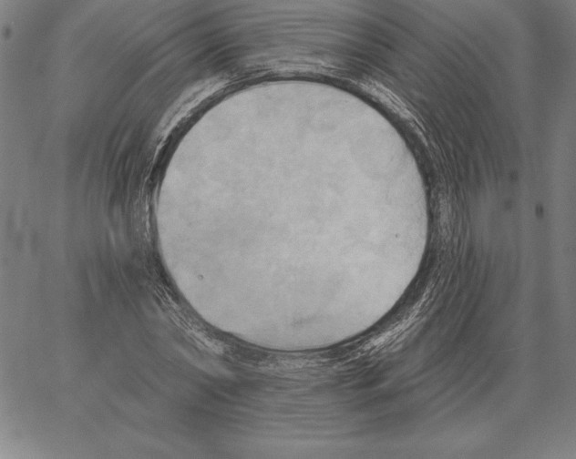 X0000066090782200604071756