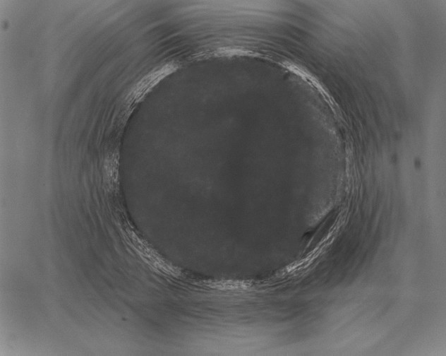 X0000066090785200604071755