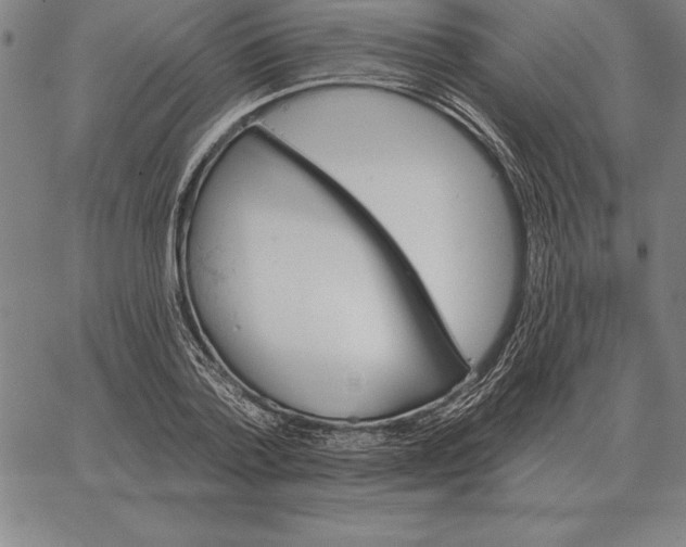 X0000066090788200604071755