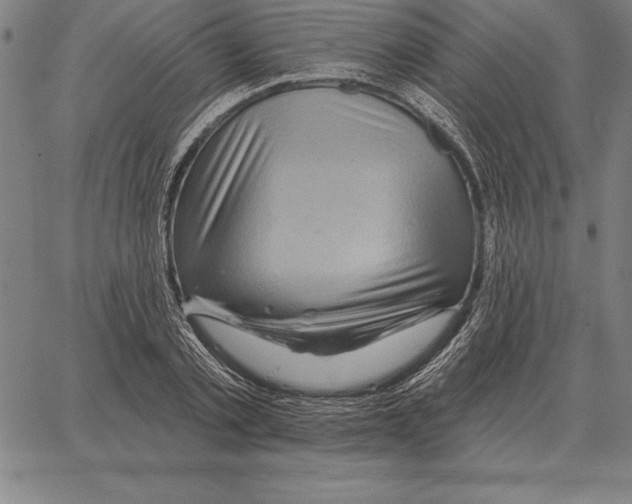 X0000066090789200604071755