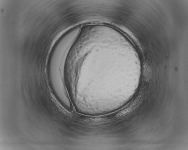 X0000066090791200604071755