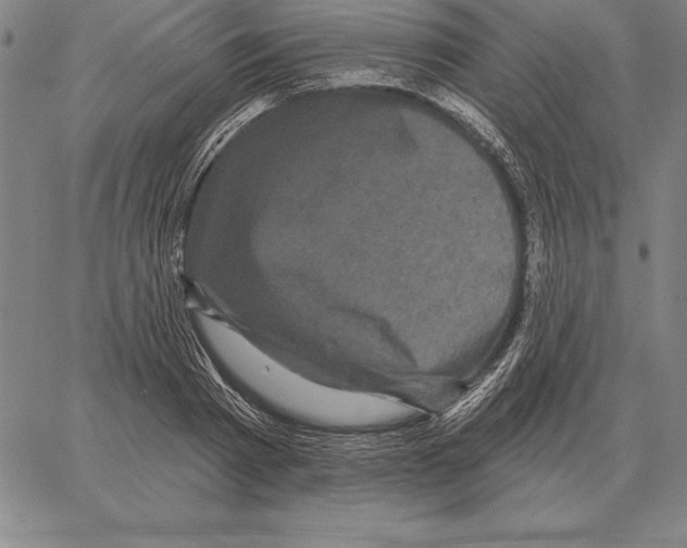 X0000066090793200604071755