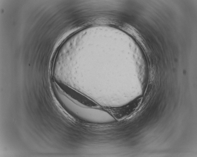 X0000066090795200604071755