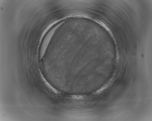 X0000066090799200604071755