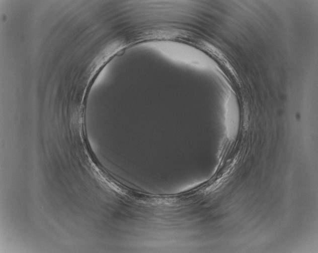 X0000066090802200604071755