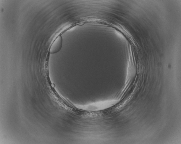 X0000066090806200604071755