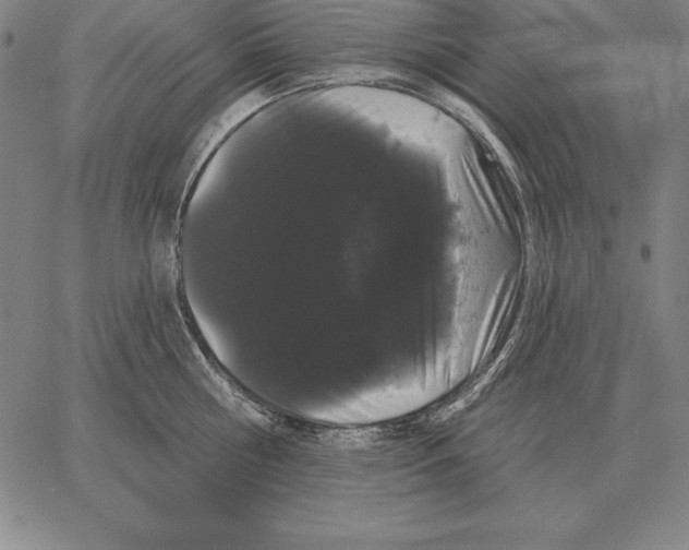 X0000066090810200604071755