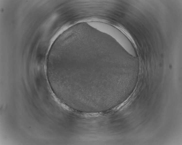 X0000066090813200604071755
