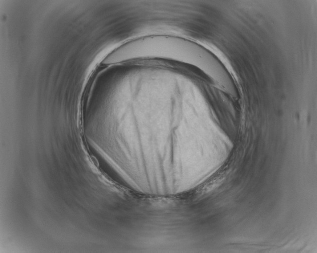 X0000066090815200604071755