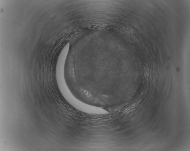 X0000066090818200604071754