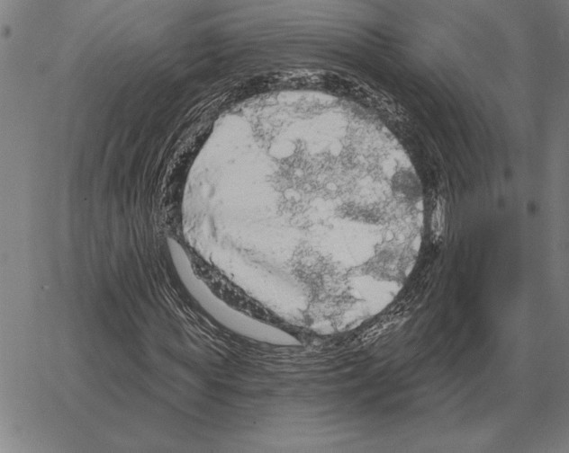 X0000066090819200604071754