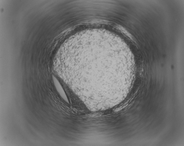 X0000066090821200604071754